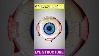 Eye Drawing 3D Structure  Easy Eye Diagram  Easy Eye Structure  Aankh Ka चित्र  shorts anatomy [upl. by Robinetta]