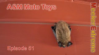 AampM Moto Toys  Episode 51  Shop update Arctic Leopard EX800 EX700 EBOX 20 and Throne Sprnt [upl. by Drawde]