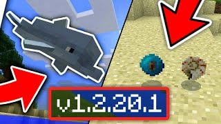 MCPE 14 BETA  ADA LUMBA LUMBA  HEART OF THE SEA [upl. by Erehpotsirhc]