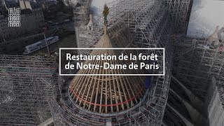 Restauration de la quotforêtquot de NotreDame de Paris [upl. by Peyton4]