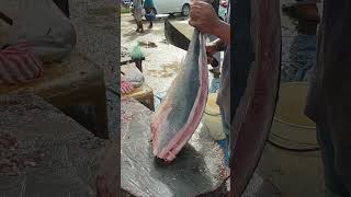 Brother Iwans Skills in Cutting Baby Tuna Fish shorts [upl. by Ahsaetan]