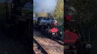 Dr Syn passes Burmarsh Road train romneyhytheanddymchurch steamengine railway trainspotting [upl. by Kirrad]