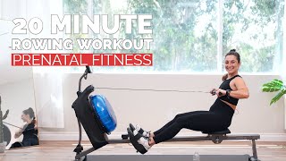 20 Minute Prenatal Rowing Machine Workout [upl. by Malamut]