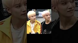 seventeen svt carat kpop viral dk dino hoshi mingyu joshua short shorts trending video [upl. by Brucie]