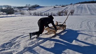 Ne ducem la pădure cu sania să aducem lemne dar Tiberiu vrea la săniuș [upl. by Philemon325]