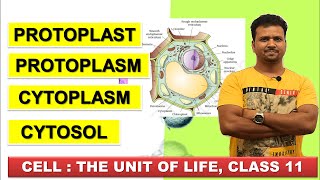 PROTOPLAST PROTOPLASM CYTOPLASM CYTOSOL  CELL THE UNIT OF LIFE Class 11  NCERT Biology  NEET [upl. by Clute274]