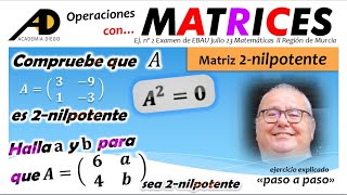 ¿Sabes qué es una MATRIZ NILPOTENTE ACADEMIADIEGO [upl. by Mahan]