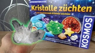 Kristalle selber züchten😳  Funktioniert das [upl. by Eerat]