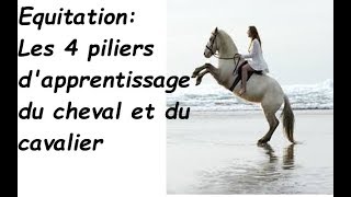 équitation les 4 piliers de lapprentissage [upl. by Delinda]