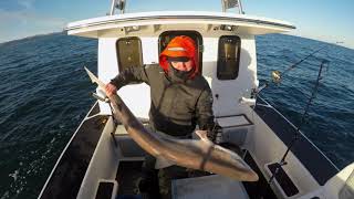 Glenarm fishing at anchor  Tope and Skate Cod and Bull Huss November 2019 [upl. by Corbin600]