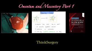 Omentum and Mesentery Part 1 [upl. by Claiborne]