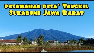 pesawahan ini bikin betah enak di pandang [upl. by Alimrahs]