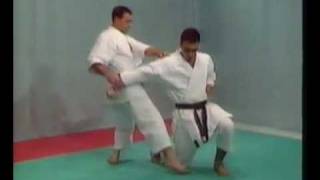 karate kata shotokan amp bunkai bassai dai [upl. by Annawat]