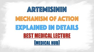 Artemisinin mechanism of action [upl. by Ogden]