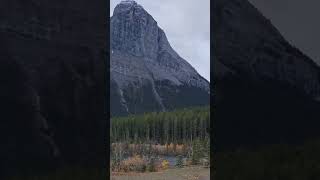 Canmore grassi LakeCanmorebanffnationalparkAlberta [upl. by Emeline378]