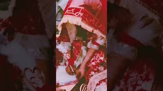 Nikah ceremony ♥️ song shortsfeed wedding ytshots [upl. by Arihppas]