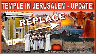 WHY IS THE RED HEIFER IMPORTANT FOR THE 3RD TEMPLE [upl. by Kcirdez]