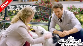 Best Hallmark Christmas Movies  New Hallmark Romance Movies 2024  Hallmark Christmas Movies [upl. by Janaye]