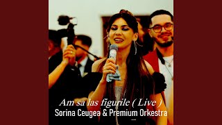 Am sa las figurile feat Premium Orkestra Live [upl. by Kauffmann173]