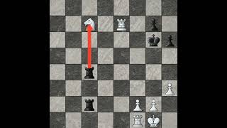 Philidor Defense Exchange Variation asmr chessopening games chessable chessstrategy chess [upl. by Ained]