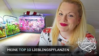 Meine Top 10 Wasserpflanzen für das Aquarium 🔝🔟🌱  Aquarinas Special [upl. by Aikemaj]