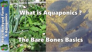 WHAT IS AQUAPONICS the Bare Bones Basics [upl. by Gretel166]