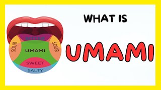 What Is Umami [upl. by Hpeosj229]