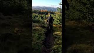 Glentress bike mtb [upl. by Aynor]