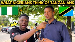 🇳🇬🇹🇿What Nigerians Think of Tanzania amp Tanzanians Unexpected Answers😳 [upl. by Yeliak]