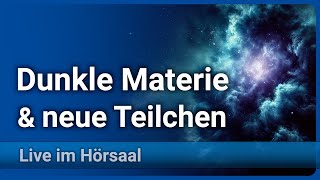 Dunkle Materie • Suche nach neuen Teilchen  Laura Covi [upl. by Akinyt]