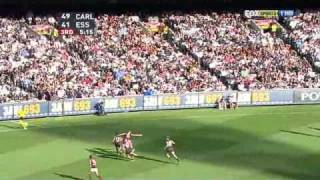 AFL 2011 Round 4 Essendon Vs Carlton  Highlightsavi [upl. by Scarlett]