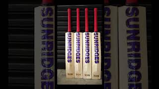 Unveiling the SS Cricket Player Series Bats [upl. by Mauricio]