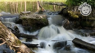 🏞️ Uklidňující zvuky přírody 🤍 BÍLÝ ŠUM řeka tekoucí přes jez a ptačí zpěv mp3 ke stažení ↓↓ [upl. by Titos369]