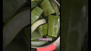 Manfaat Lidah Buaya faktaunik faktamenarik lidahbuaya kesehatan aloevera fyp shorts [upl. by Ocana]