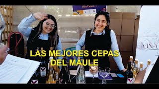 Cultura y vino en San Javier de Loncomilla [upl. by Aaberg]