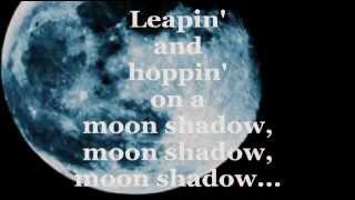 MOONSHADOW Lyrics  CAT STEVENS [upl. by Darej]