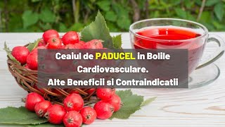 Ceaiul de PADUCEL in Bolile Cardiovasculare Alte Beneficii si Contraindicatii [upl. by Trilly]