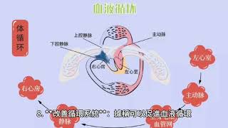 什麼是 標量能量？ [upl. by Aizek772]