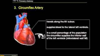 1215 Lead ECG Coronary Anatomy Part 3 [upl. by Booker]