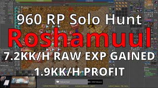 Roshamuul Solo  72KKH RAW EXP  19KKH PROFIT  RP 960 Solo Hunt [upl. by Eerak845]