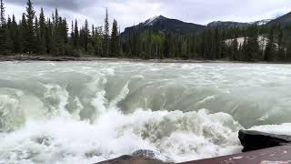 Athabasca Falls Banff athabascafalls jasper june2024 [upl. by Ttej]