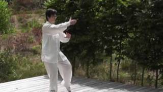 Tai Chi Chuan Taijiquan  traditioneller Yang Stil  103er Langform 1 Teil [upl. by Grazia]