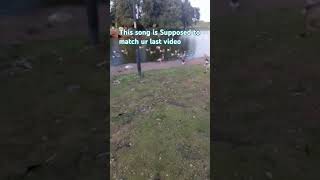 DUCKYS  fypシ゚ ducks fyp fypage trending irl cleethorpes [upl. by Orvie412]