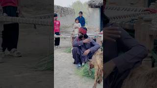 Kia Titli mela par ja pae gi 🥺🥺youtubeshorts alibaloch youtube [upl. by Ihsorih83]