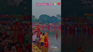 Ham bihariyo ka pyara hai🙏❤️chhath puja❤️🙏🌸youtubeshorts shorts vlog [upl. by Aleciram]