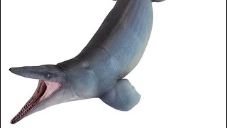 PNSO Tylosaurus  Is it the Most Accurate Does it have a Split Tongue shorts tylosaurus [upl. by Leinad]