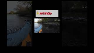 Lost a BIG ONE today youtubeshorts bassfishing kayakbassfishing hobiekayak fishing bass [upl. by Enelhtac]