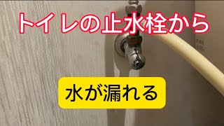 トイレの止水栓から水が漏れる パッキン交換 [upl. by Javier359]