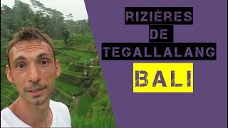 BALI  Un Tour Dans Les Rizieres De Tegallalang [upl. by Claudell]