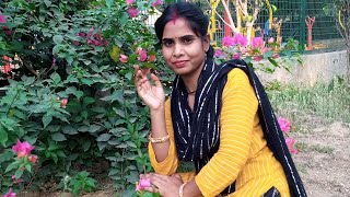 Pradeep Neelam Vlogs Sultanpur se live [upl. by Anaehr123]